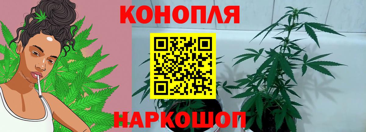 Бошки Шишки конопля  Каннабис ГИДРОПОН  Сафоново  МАРИХУАНА LSD WEED  МАРИХУАНА MAZAR  Вход с VPN 